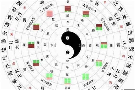 塑膠 五行|塑料属于五行中的种？金？木？水？火？土？为什么~~